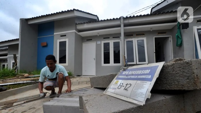 Pemerintah Genjot Proyek Hunian MBR di 2025