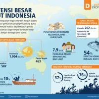 Maritim negara bidang kemaritiman potensi infografis bakal optimis mandiri maritimnews mengenai