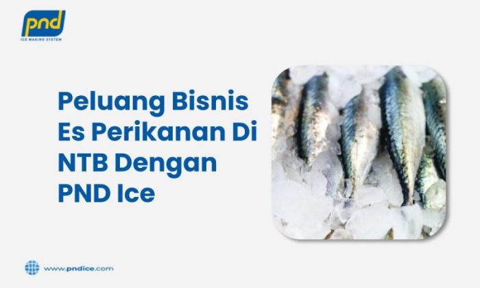 Peluang Bisnis Perikanan yang Bisa Jadi Ladang Emas!
