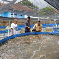 Peluang Bisnis Perikanan yang Bisa Jadi Ladang Emas!