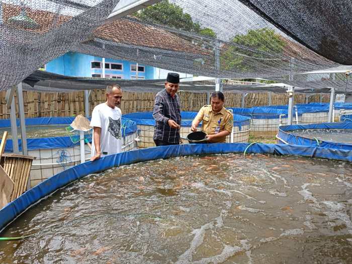 Peluang Bisnis Perikanan yang Bisa Jadi Ladang Emas!