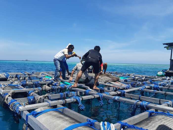 Potensi Bisnis Maritim di Wilayah Pesisir